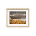Picture of Mustard Grass Lake _GroupedProduct_Rectangle_Landscape_Photography _GroupedProduct_Rectangle_Landscape_Framed_Matted_