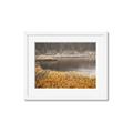Picture of Mustard Grass Lake _GroupedProduct_Rectangle_Landscape_Photography _GroupedProduct_Rectangle_Landscape_Framed_Matted_
