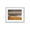 Picture of Mustard Grass Lake _GroupedProduct_Rectangle_Landscape_Photography _GroupedProduct_Rectangle_Landscape_Framed_Matted_