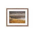 Picture of Mustard Grass Lake _GroupedProduct_Rectangle_Landscape_Photography _GroupedProduct_Rectangle_Landscape_Framed_Matted_