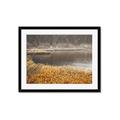 Picture of Mustard Grass Lake _GroupedProduct_Rectangle_Landscape_Photography _GroupedProduct_Rectangle_Landscape_Framed_Matted_