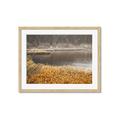 Picture of Mustard Grass Lake _GroupedProduct_Rectangle_Landscape_Photography _GroupedProduct_Rectangle_Landscape_Framed_Matted_