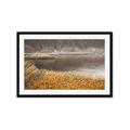 Picture of Mustard Grass Lake _GroupedProduct_Rectangle_Landscape_Photography _GroupedProduct_Rectangle_Landscape_Framed_Matted_