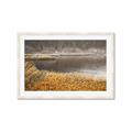 Picture of Mustard Grass Lake _GroupedProduct_Rectangle_Landscape_Photography _GroupedProduct_Rectangle_Landscape_Framed_Matted_