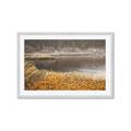Picture of Mustard Grass Lake _GroupedProduct_Rectangle_Landscape_Photography _GroupedProduct_Rectangle_Landscape_Framed_Matted_