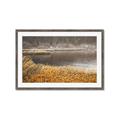 Picture of Mustard Grass Lake _GroupedProduct_Rectangle_Landscape_Photography _GroupedProduct_Rectangle_Landscape_Framed_Matted_