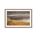 Picture of Mustard Grass Lake _GroupedProduct_Rectangle_Landscape_Photography _GroupedProduct_Rectangle_Landscape_Framed_Matted_