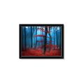 Picture of Mysterious Woods  _GroupedProduct_Rectangle_Landscape_Photography _GroupedProduct_Rectangle_Landscape_Framed_Matted_