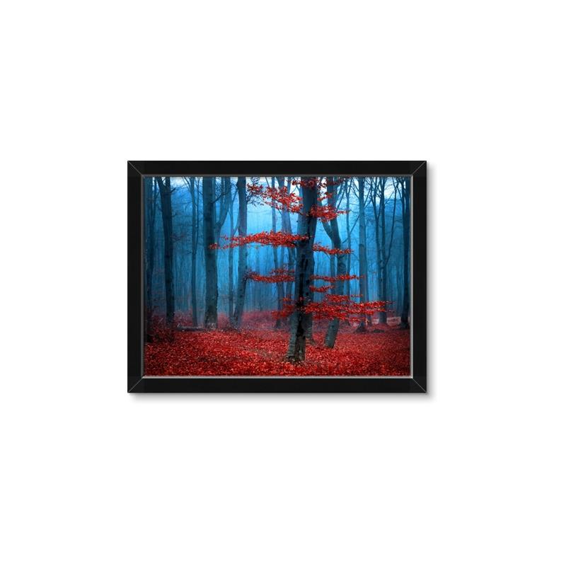 Picture of Mysterious Woods  _GroupedProduct_Rectangle_Landscape_Photography _GroupedProduct_Rectangle_Landscape_Framed_Matted_