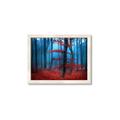 Picture of Mysterious Woods  _GroupedProduct_Rectangle_Landscape_Photography _GroupedProduct_Rectangle_Landscape_Framed_Matted_