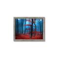 Picture of Mysterious Woods  _GroupedProduct_Rectangle_Landscape_Photography _GroupedProduct_Rectangle_Landscape_Framed_Matted_