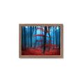 Picture of Mysterious Woods  _GroupedProduct_Rectangle_Landscape_Photography _GroupedProduct_Rectangle_Landscape_Framed_Matted_