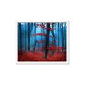 Picture of Mysterious Woods  _GroupedProduct_Rectangle_Landscape_Photography _GroupedProduct_Rectangle_Landscape_Framed_Matted_