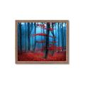 Picture of Mysterious Woods  _GroupedProduct_Rectangle_Landscape_Photography _GroupedProduct_Rectangle_Landscape_Framed_Matted_