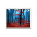 Picture of Mysterious Woods  _GroupedProduct_Rectangle_Landscape_Photography _GroupedProduct_Rectangle_Landscape_Framed_Matted_