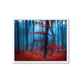 Picture of Mysterious Woods  _GroupedProduct_Rectangle_Landscape_Photography _GroupedProduct_Rectangle_Landscape_Framed_Matted_