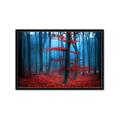 Picture of Mysterious Woods  _GroupedProduct_Rectangle_Landscape_Photography _GroupedProduct_Rectangle_Landscape_Framed_Matted_