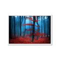 Picture of Mysterious Woods  _GroupedProduct_Rectangle_Landscape_Photography _GroupedProduct_Rectangle_Landscape_Framed_Matted_