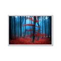Picture of Mysterious Woods  _GroupedProduct_Rectangle_Landscape_Photography _GroupedProduct_Rectangle_Landscape_Framed_Matted_