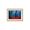 Picture of Mysterious Woods  _GroupedProduct_Rectangle_Landscape_Photography _GroupedProduct_Rectangle_Landscape_Framed_Matted_