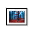 Picture of Mysterious Woods  _GroupedProduct_Rectangle_Landscape_Photography _GroupedProduct_Rectangle_Landscape_Framed_Matted_