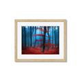 Picture of Mysterious Woods  _GroupedProduct_Rectangle_Landscape_Photography _GroupedProduct_Rectangle_Landscape_Framed_Matted_