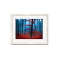 Picture of Mysterious Woods  _GroupedProduct_Rectangle_Landscape_Photography _GroupedProduct_Rectangle_Landscape_Framed_Matted_