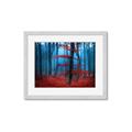 Picture of Mysterious Woods  _GroupedProduct_Rectangle_Landscape_Photography _GroupedProduct_Rectangle_Landscape_Framed_Matted_