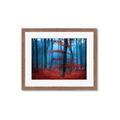 Picture of Mysterious Woods  _GroupedProduct_Rectangle_Landscape_Photography _GroupedProduct_Rectangle_Landscape_Framed_Matted_