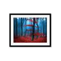 Picture of Mysterious Woods  _GroupedProduct_Rectangle_Landscape_Photography _GroupedProduct_Rectangle_Landscape_Framed_Matted_