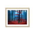 Picture of Mysterious Woods  _GroupedProduct_Rectangle_Landscape_Photography _GroupedProduct_Rectangle_Landscape_Framed_Matted_
