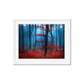 Picture of Mysterious Woods  _GroupedProduct_Rectangle_Landscape_Photography _GroupedProduct_Rectangle_Landscape_Framed_Matted_