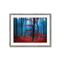 Picture of Mysterious Woods  _GroupedProduct_Rectangle_Landscape_Photography _GroupedProduct_Rectangle_Landscape_Framed_Matted_