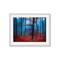 Picture of Mysterious Woods  _GroupedProduct_Rectangle_Landscape_Photography _GroupedProduct_Rectangle_Landscape_Framed_Matted_