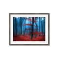 Picture of Mysterious Woods  _GroupedProduct_Rectangle_Landscape_Photography _GroupedProduct_Rectangle_Landscape_Framed_Matted_