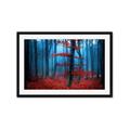 Picture of Mysterious Woods  _GroupedProduct_Rectangle_Landscape_Photography _GroupedProduct_Rectangle_Landscape_Framed_Matted_