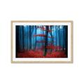 Picture of Mysterious Woods  _GroupedProduct_Rectangle_Landscape_Photography _GroupedProduct_Rectangle_Landscape_Framed_Matted_