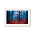 Picture of Mysterious Woods  _GroupedProduct_Rectangle_Landscape_Photography _GroupedProduct_Rectangle_Landscape_Framed_Matted_