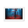Picture of Mysterious Woods  _GroupedProduct_Rectangle_Landscape_Photography _GroupedProduct_Rectangle_Landscape_Framed_Matted_