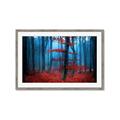 Picture of Mysterious Woods  _GroupedProduct_Rectangle_Landscape_Photography _GroupedProduct_Rectangle_Landscape_Framed_Matted_