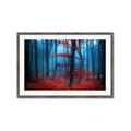 Picture of Mysterious Woods  _GroupedProduct_Rectangle_Landscape_Photography _GroupedProduct_Rectangle_Landscape_Framed_Matted_