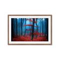 Picture of Mysterious Woods  _GroupedProduct_Rectangle_Landscape_Photography _GroupedProduct_Rectangle_Landscape_Framed_Matted_