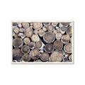 Picture of Stacked Logs _GroupedProduct_Rectangle_Landscape_Photography _GroupedProduct_Rectangle_Landscape_Framed_Matted_