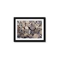 Picture of Stacked Logs _GroupedProduct_Rectangle_Landscape_Photography _GroupedProduct_Rectangle_Landscape_Framed_Matted_