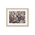 Picture of Stacked Logs _GroupedProduct_Rectangle_Landscape_Photography _GroupedProduct_Rectangle_Landscape_Framed_Matted_
