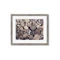 Picture of Stacked Logs _GroupedProduct_Rectangle_Landscape_Photography _GroupedProduct_Rectangle_Landscape_Framed_Matted_