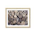 Picture of Stacked Logs _GroupedProduct_Rectangle_Landscape_Photography _GroupedProduct_Rectangle_Landscape_Framed_Matted_