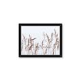 Picture of Wheat in the Wind II _GroupedProduct_Rectangle_Landscape_Photography _GroupedProduct_Rectangle_Landscape_Framed_Matted_