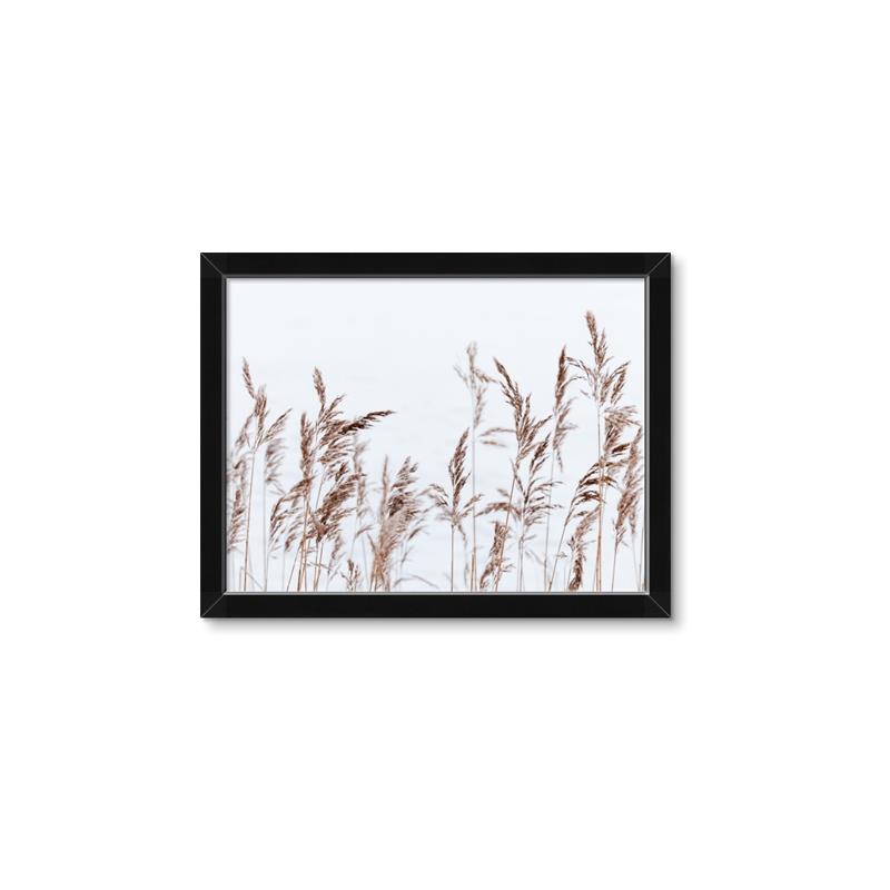 Picture of Wheat in the Wind II _GroupedProduct_Rectangle_Landscape_Photography _GroupedProduct_Rectangle_Landscape_Framed_Matted_