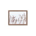 Picture of Wheat in the Wind II _GroupedProduct_Rectangle_Landscape_Photography _GroupedProduct_Rectangle_Landscape_Framed_Matted_